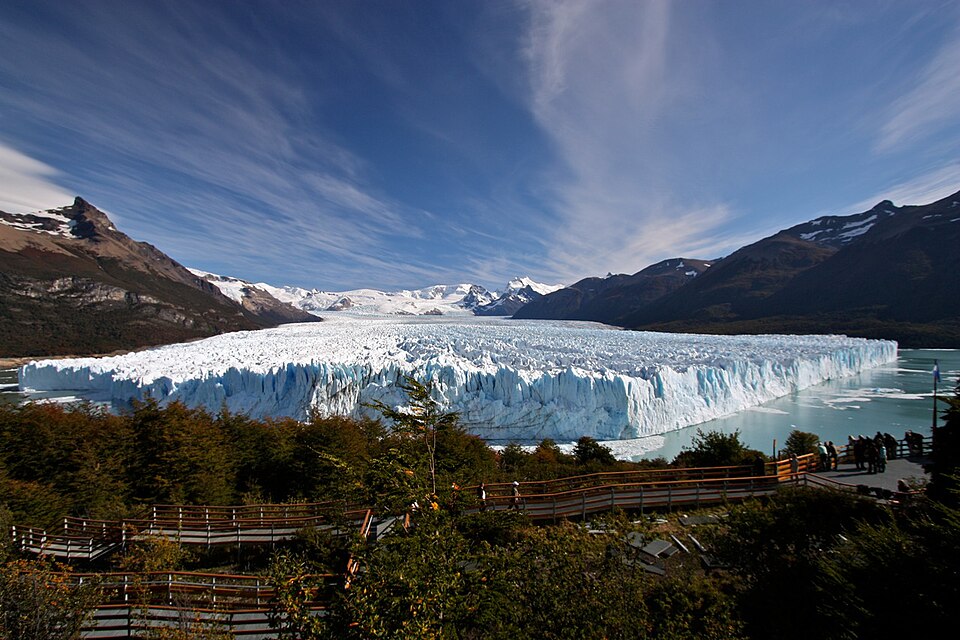 Calafate aéreo